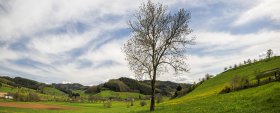 Phoca Thumb M Pano Landschaft Im Schuttertal 0611 2018